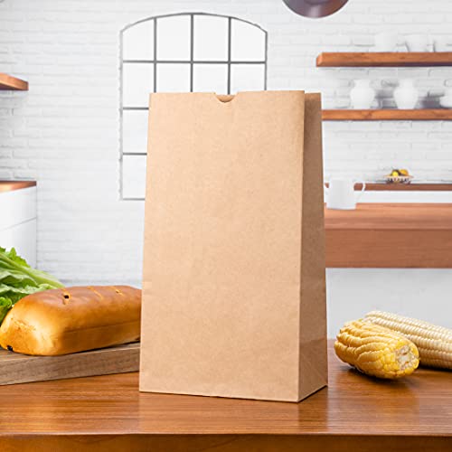 Bag Tek 12 LB Disposable Lunch Bags 100 Sturdy Take (12 lb / Kraft)