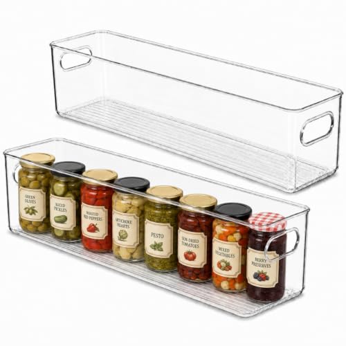 Plastic Food Storage 2 Pack Clear Container Bin with Handles for Organizing Kitchen (20x4x5)