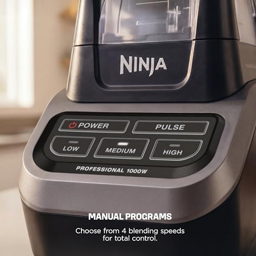 Professional Blender (Black/Gray)
