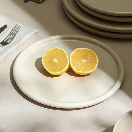 Eden 4 Piece Salad Plate Set Stoneware (Beige / 4-Piece - Salad Plate)