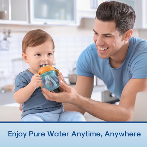 Pitcher Water Filter (6 Count (Pack of 1))
