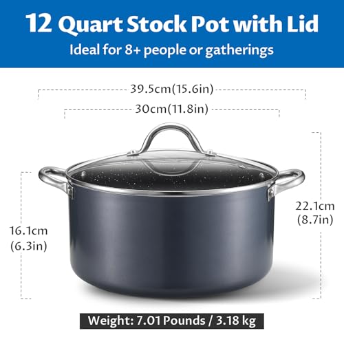 12 Quart Nonstick Stock Pot with Lid