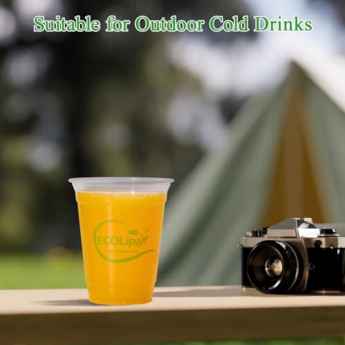 1000 Count 12 OZ Clear Compostable Plastic Cups for Restaurant (12oz-clear)