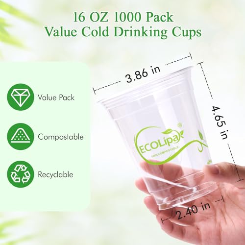 1000 Count 16 OZ Clear Compostable Plastic Cups for Restaurant (16oz-clear)