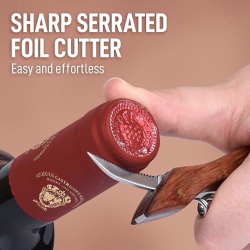 Corkscrew Wine Opener