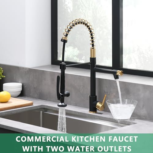 Black&Gold Kitchen Faucet with Sprayer (Black&Gold)