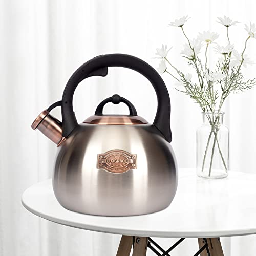 3.1 Quart Teal Whistling Tea Kettle for Stove Top (Silver)