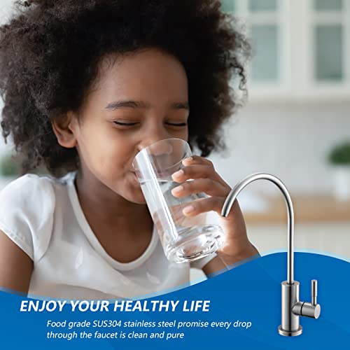 Drinking Water Faucet for RO System and Bar Sink (Brushed Nickel)