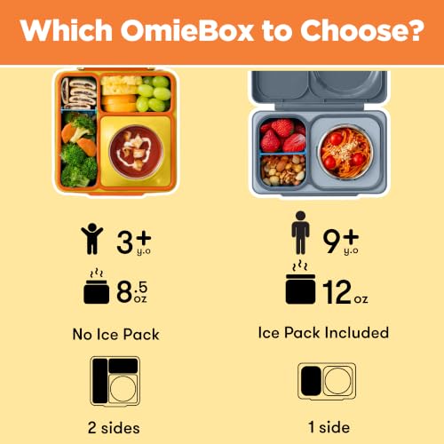 Box Bento Box for Kids (8.5 Ounces / Sunshine)