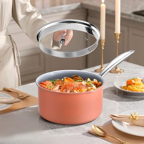3.0 Quart Stainless Steel Pot Saucepan with Glass Strainer Lid