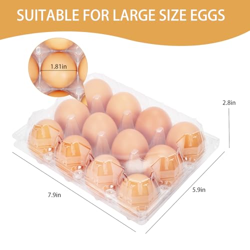 60Pack Plastic Egg Cartons Cheap Bulk 3x4 Grids Reusable Egg Containers (60Pack-3x4Grids)