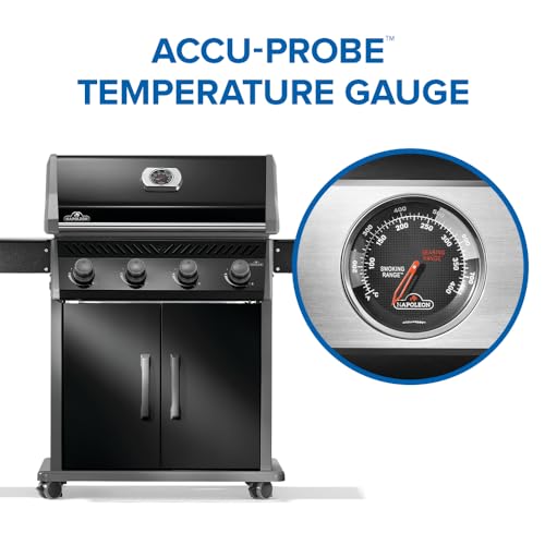 Rogue 525 4 Burner Propane Grill (Rogue 525 Propane Black / Rogue 525)
