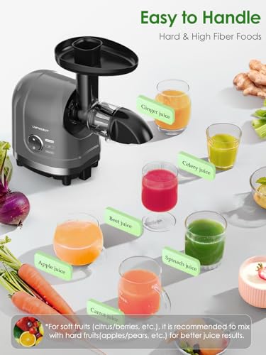 Masticating Juicer Machine 200W Slow Cold Press Extractor for Veggie (Grey)