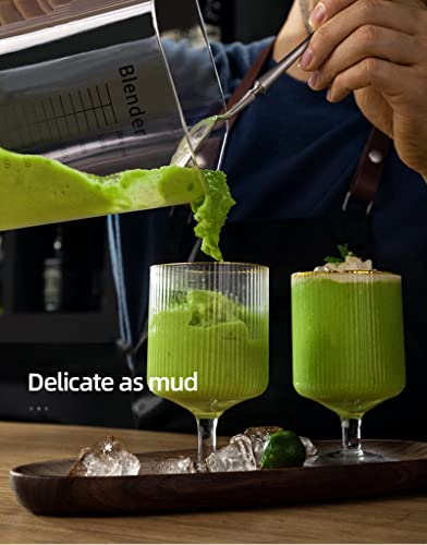 Quiet Commercial Blender with Soundproof Shield (Black)