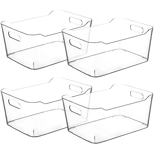 Small Clear Plastic Storage Bins (Small)