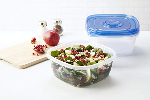 Ware Family Size Food Storage Containers (3 Count (Pack of 1))