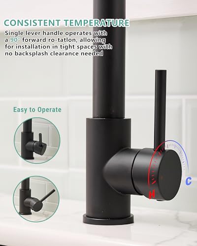 Black Kitchen Faucet with Pull Down Sprayer (Matte Black)