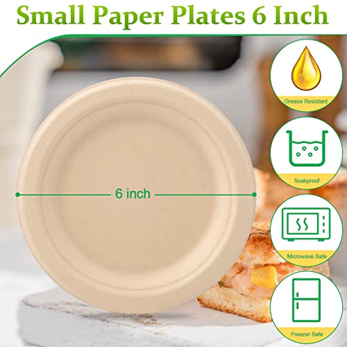 Paper Plates 6 inch (6 inch 100 pack)