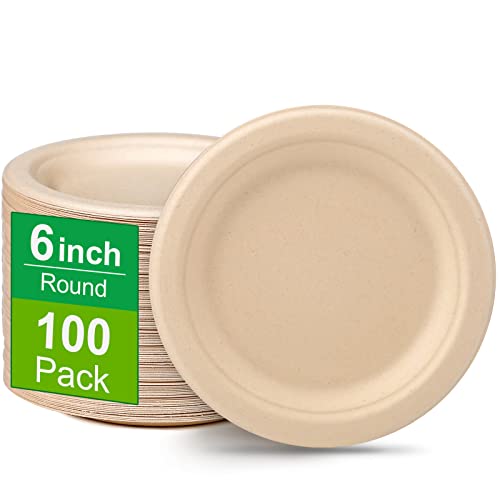 Paper Plates 6 inch (6 inch 100 pack)