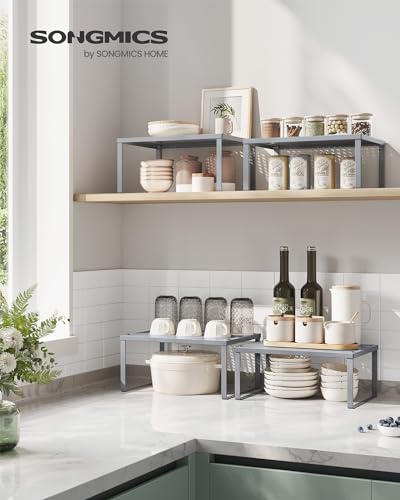 Set of 4 Metal Spice Racks (Silver / 4 Tiers (9"D x 12.6"W))