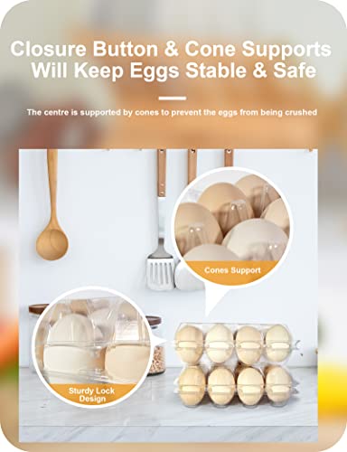 50 Pack Egg Cartons Cheap Bulk 12 Count (Medium-50PK-12CT)