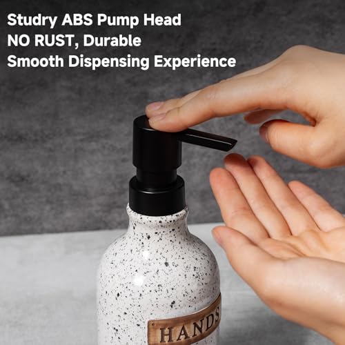 Hand and Dish Dispenser for Kitchen Sink (18 OZ)