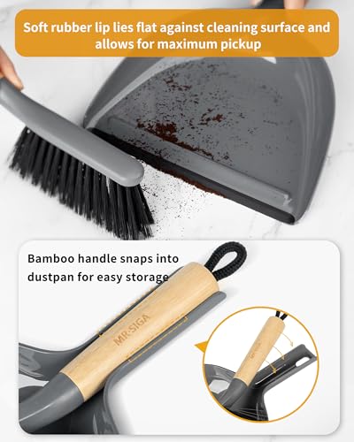 Dustpan and Brush Set