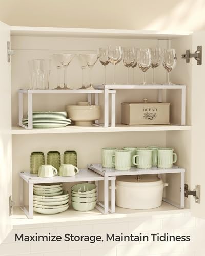 Set of 2 Metal Spice Racks (Oatmeal Beige / 2 Tiers (9"D x 12.6"W))