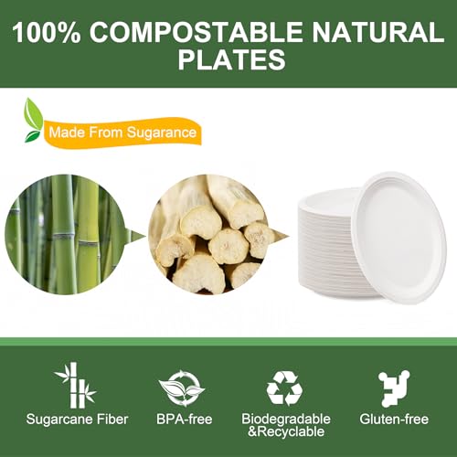 100% Compostable Oval Paper Plates 12 Inch (White / 12Inch（125 PCS）)
