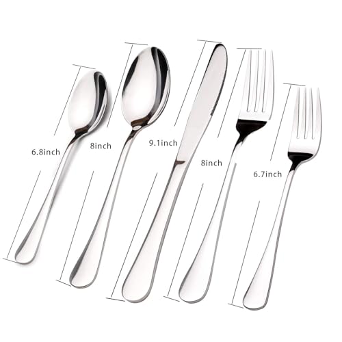 Silverware Set for 12 with Serving Utensil (Modern / 65 Piece)