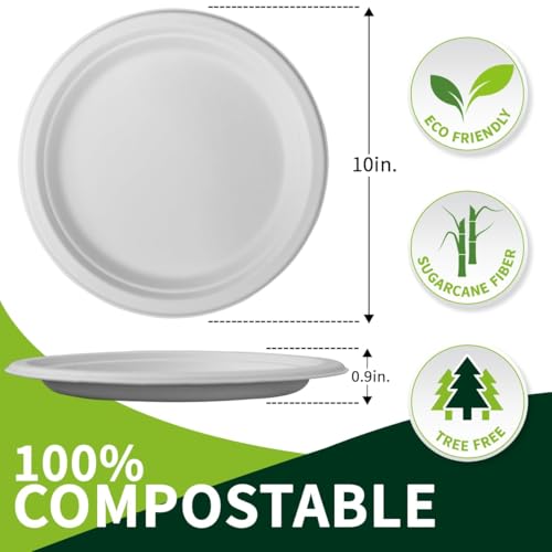 10 Inch Compostable Paper Plates【White 150 Pack】 (White / 10inch)