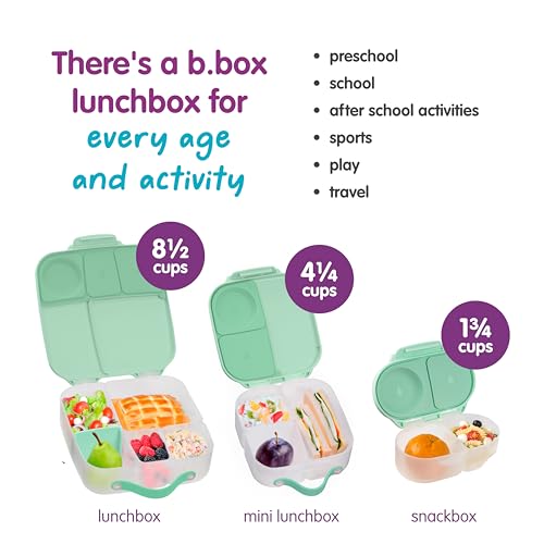 Mini Lunch Box