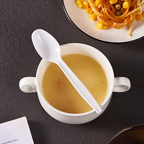 500 Count Heavy Duty White Plastic Tea Spoons Disposable Cutlery Party Utensils Heavyweight (tspoon)