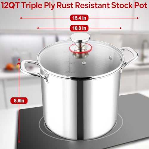 12 QT Stock Pot with Lid (12 Quarts)