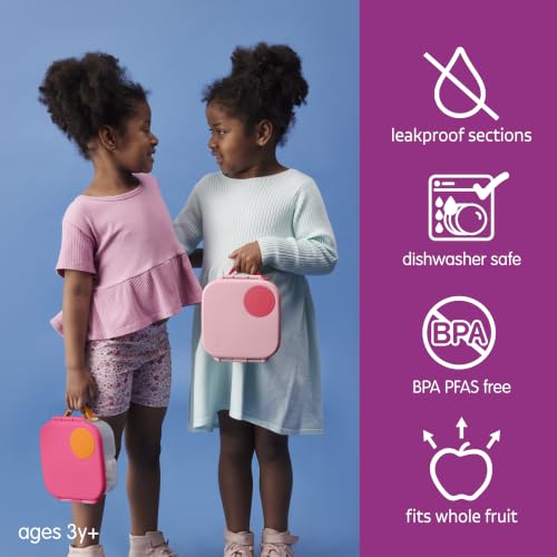 Mini Lunch Box (Flamingo Fizz / 1-pack)