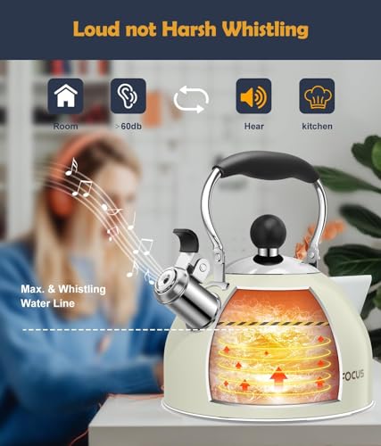 Tea Kettle 2 Quart Stainless Steel Whistling Tea Kettle (White)
