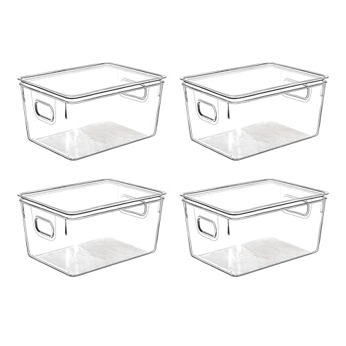 Clear Plastic Storage Bins with Lids (10 X 7.3 X 5)