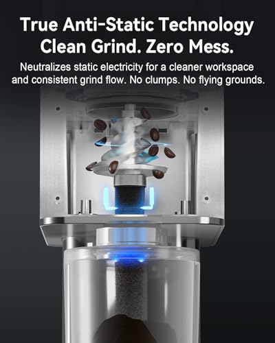 Electric Conical Burr Coffee Grinder with Removable Coffee Scale (Stainless Steel)