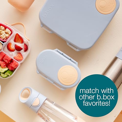 Mini Lunch Box