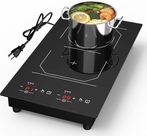 2 Burner Induction Cooktop