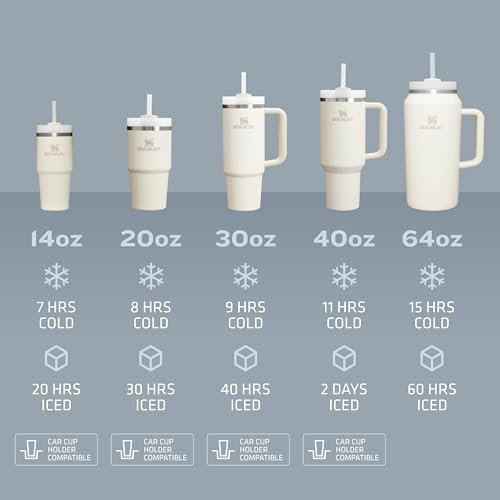Quencher H2.0 Flow State Tumbler (14 Ounces / Ash)