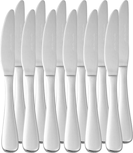 Stainless Steel Dinner Knives with Round Edge (Dinner Knives)