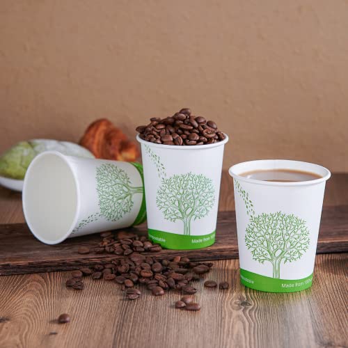 300 Count 8 oz Compostable Paper Cups (300Pack 8oz PLA Cups)