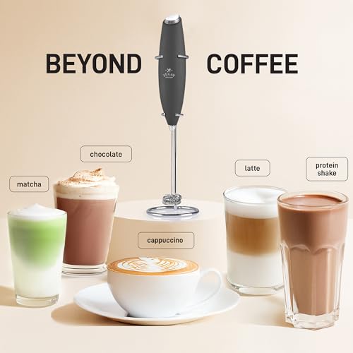 Powerful Milk Frother Wand With Duracell Batteries (Smoke Charcoal / Double Whisk + Batteries)