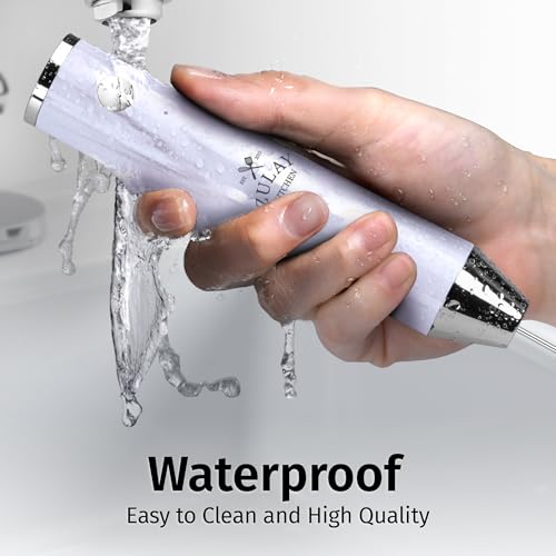 Rechargeable Milk Frother Handheld (Lux Quartz / Rechargeable Z1 Motor Max)