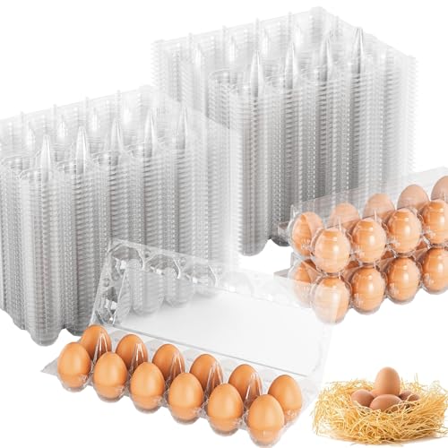 Egg Cartons Cheap Bulk 100 Pack (100Pack-2x6 Grids)