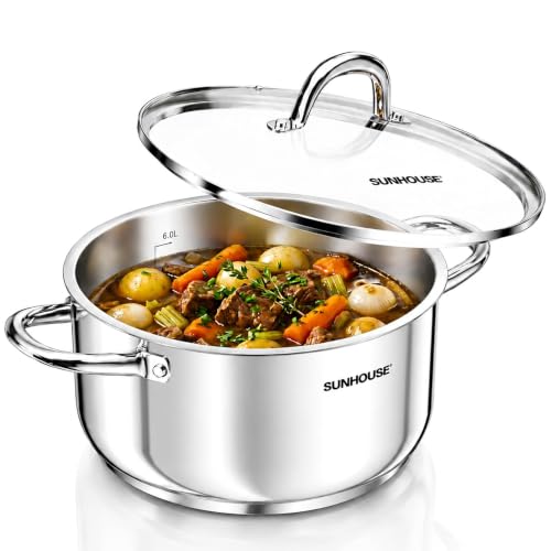 Stainless Steel Stock Pot