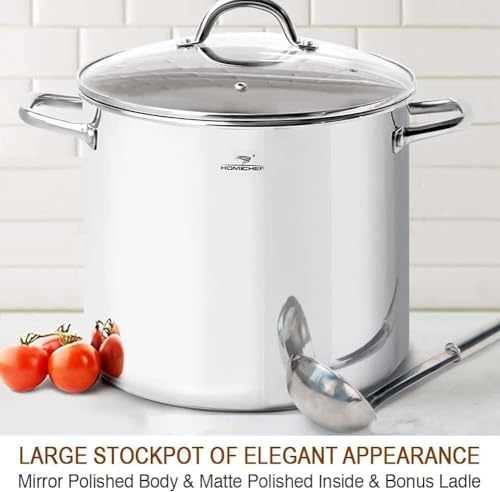 16 Quart LARGE Stock Pot with Glass Lid (16 Quarts / Mirror Polished Stainless Steel)