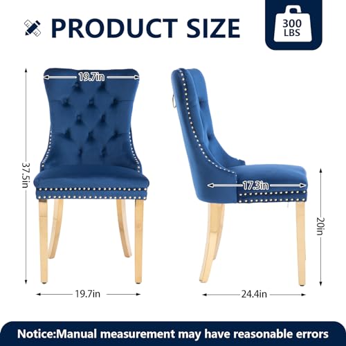 Blue Velvet Dining Chairs Set of 2 (Natural Blue)