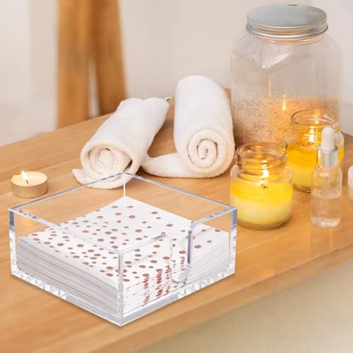 2 Pack Napkin Holder